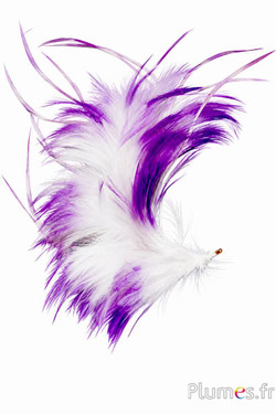 Pennacchio gallo - altezza 22 cm - lilla-bianco